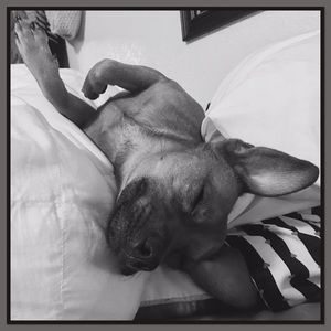 Meet your Posher, Tessa